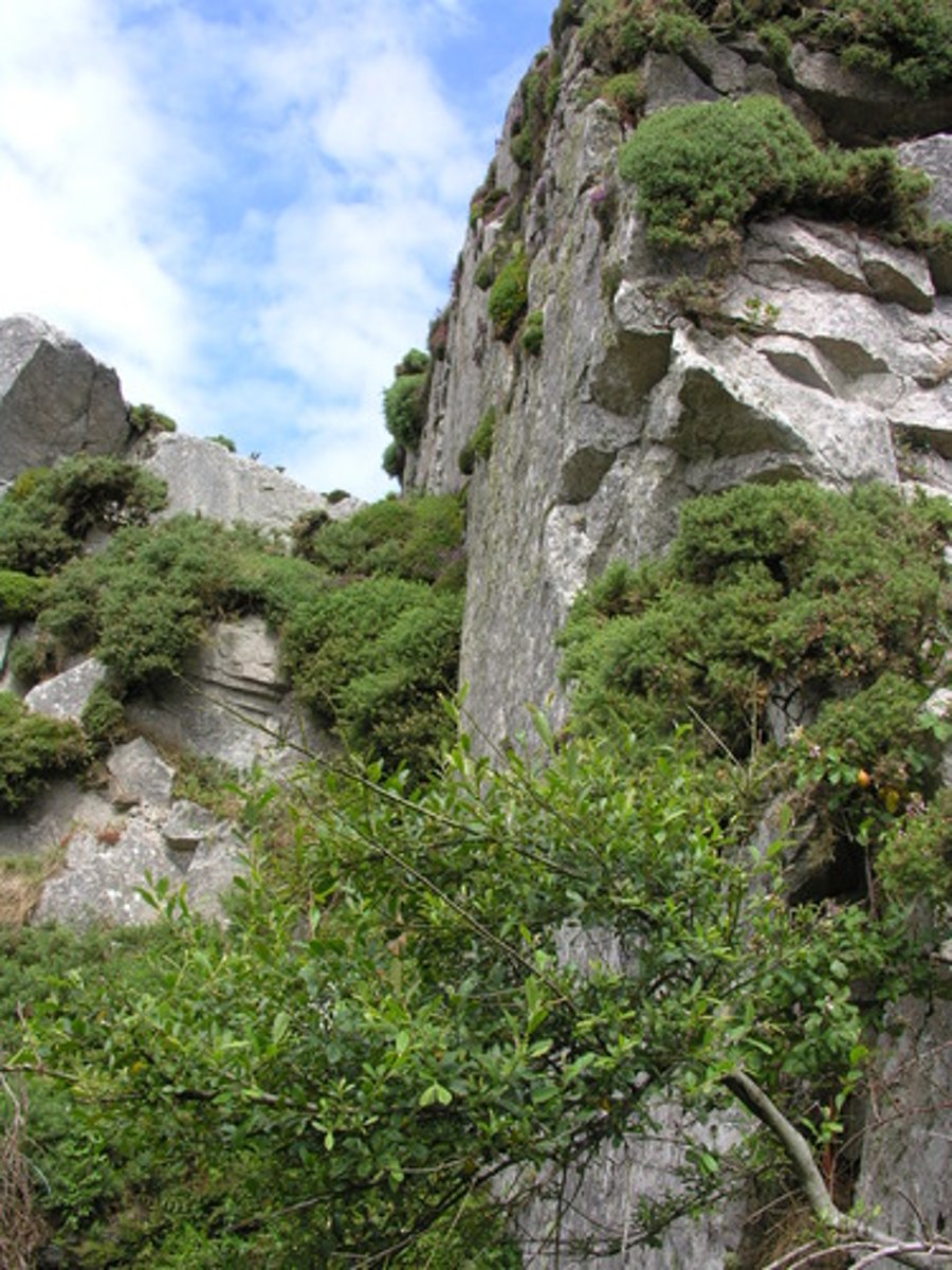 <p>(adj.) very steep (The novice hikers were very nervous as they carefully negotiated the ___________ mountain trail.)</p>