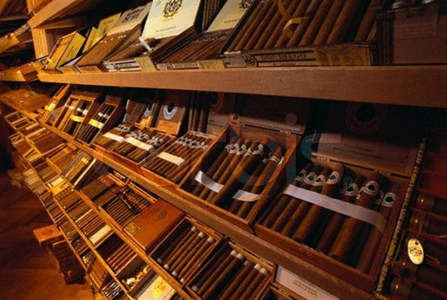 <p>tobacco shop</p>