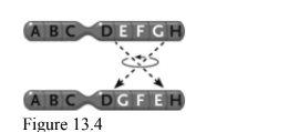 <p>What change is this in the accompanying figure</p>