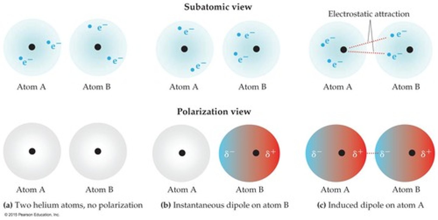 <p>Polarizability causes a temporary separation of charges, leading to dispersion forces, which are not dependent on polarity.</p>