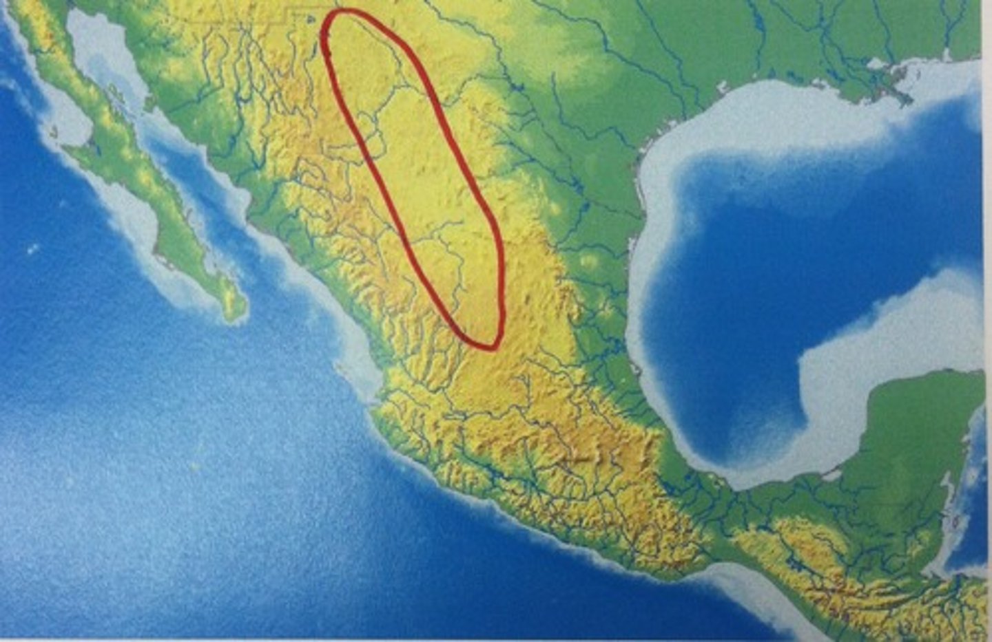 <p>mexicano</p>