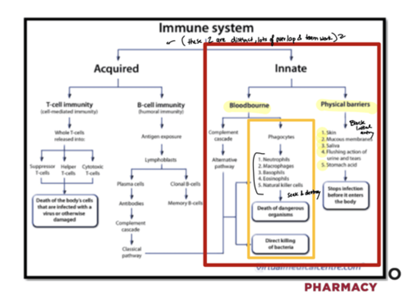 <p>Acquired and Innate</p>