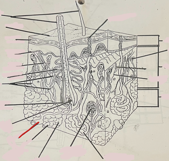 <p>What is this?</p>
