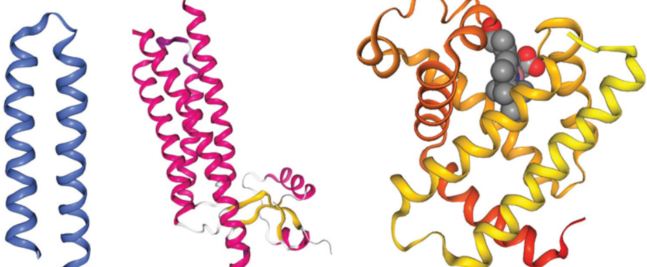 <p>Label these motif’s.</p>