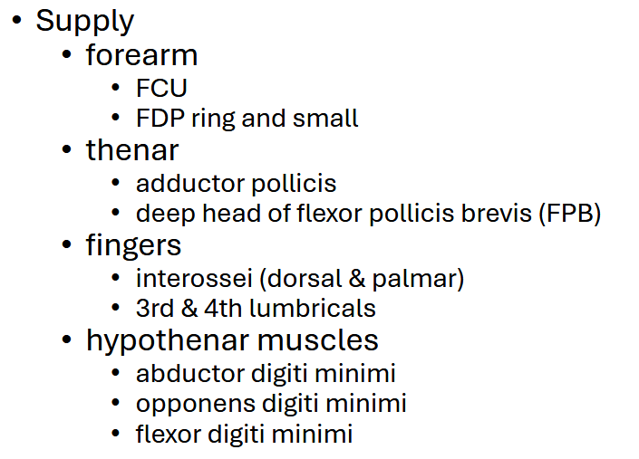 <p>Main: Interossei</p>