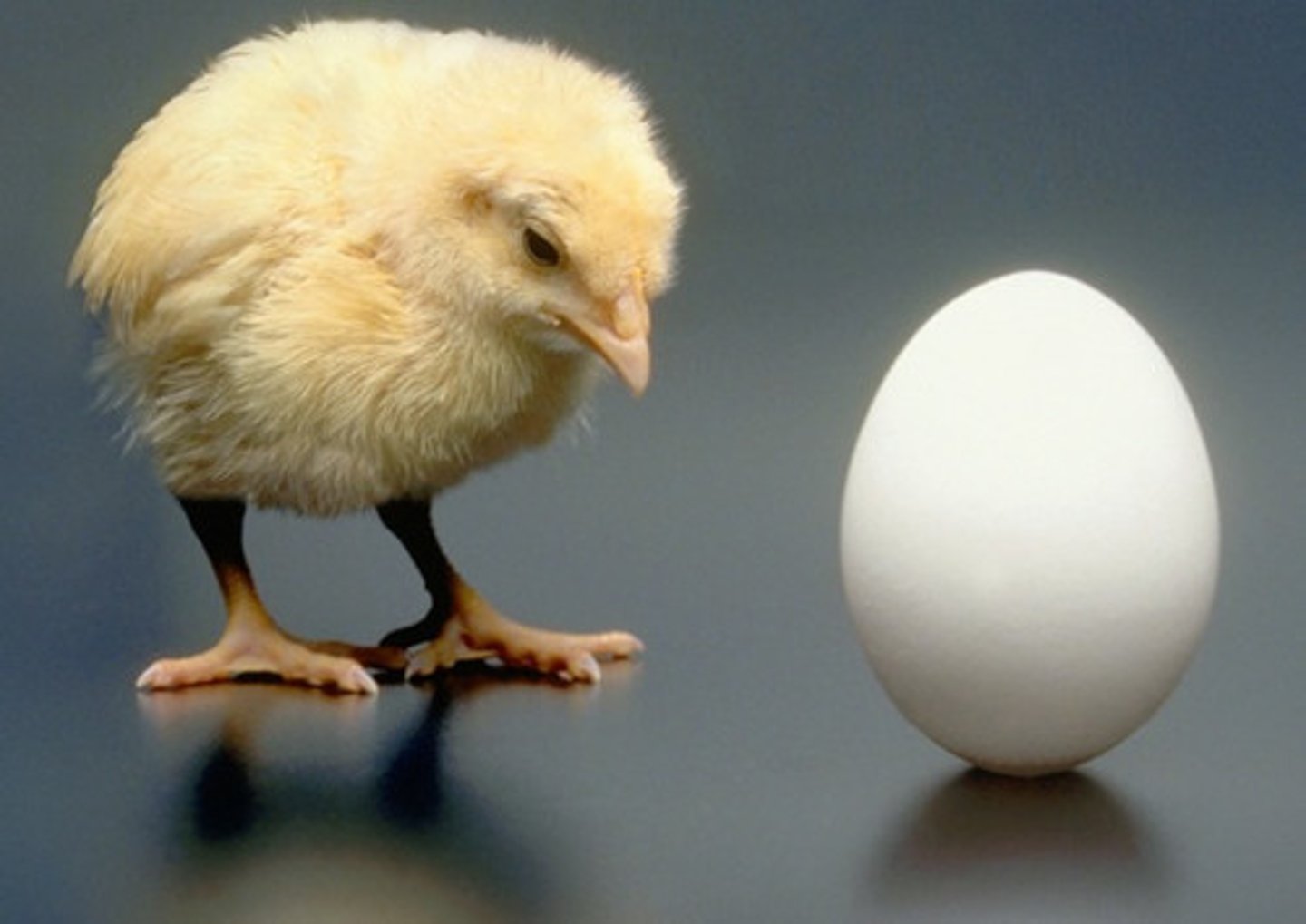 <p>последствие</p>