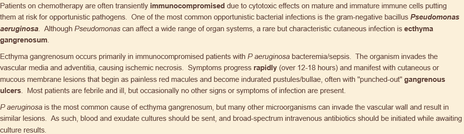 <p>ecthyma gangrenosum caused by pseudomonas; pt has gram - bacteremia</p><p></p>