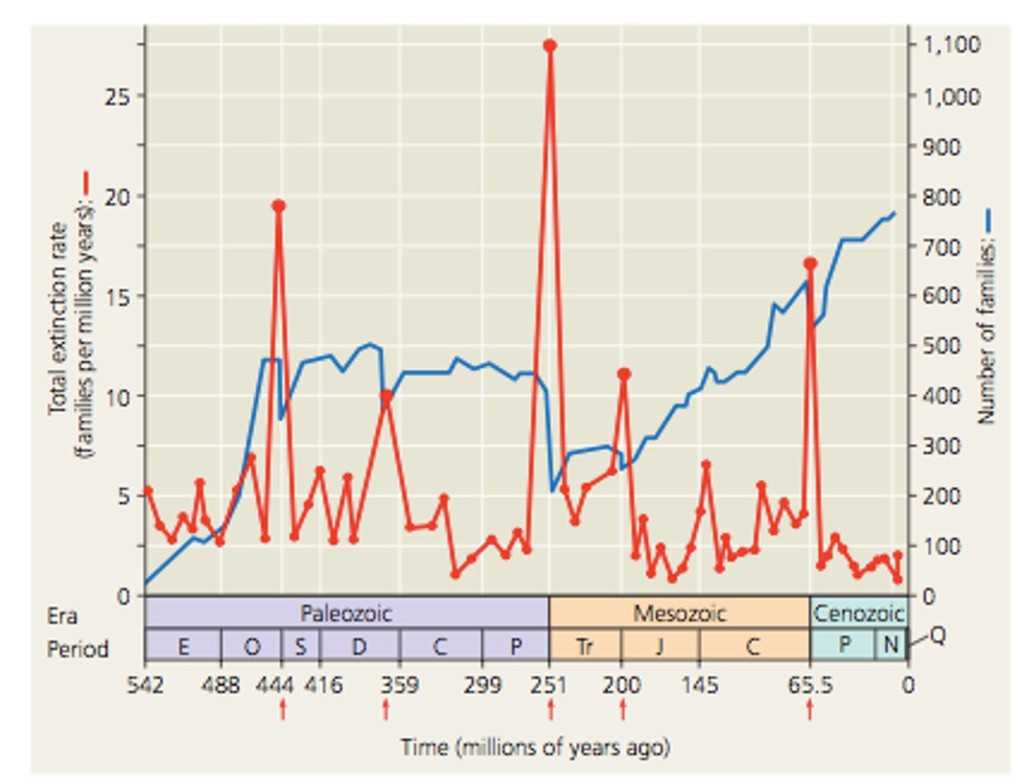 <p>Event during which many species become extinct during a relatively short period of time</p>