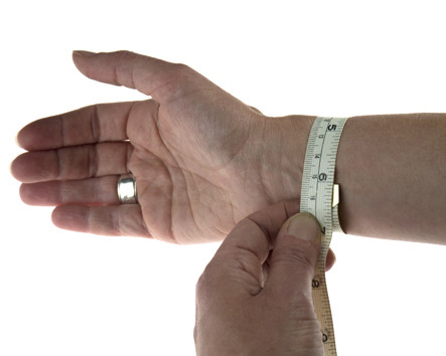 <p>wrist</p>