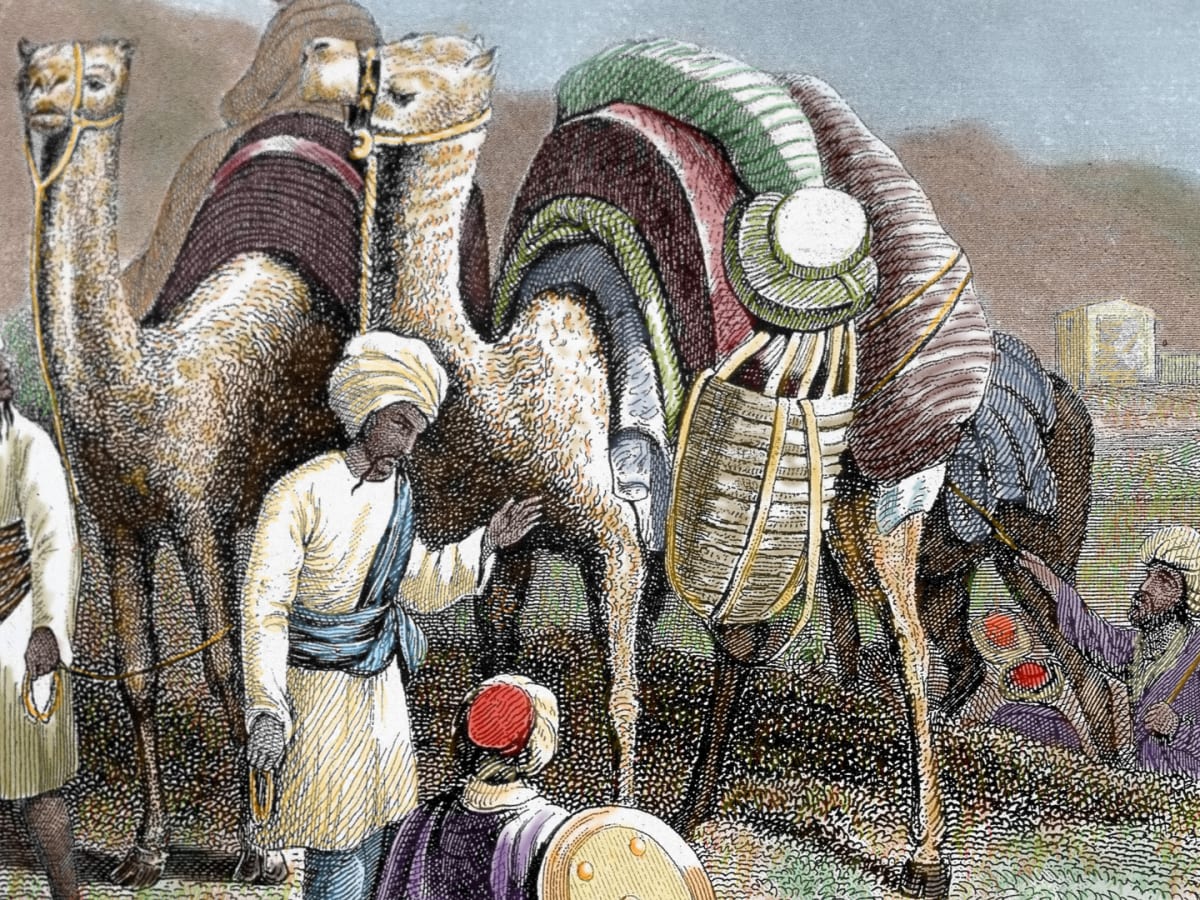 Def: a vast trade network connecting Eurasia and North Africa via land and sea routes.
LO1: As the demand for luxury goods from East Asia increased, the silk road was used as a way to get these luxary goods. 