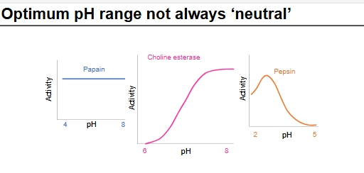 <p>NO</p><p>Papain - enzyme activity flat between 4 + 8, denatures elsewhere</p><p>Choline esterase and pepsin - in diff acidic/basic environments so adapted to be at optimum in their environment</p>