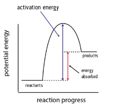 <ul><li><p>For an endothermic reaction, heat is taken in from the surroundings.</p></li></ul><p></p><ul><li><p>The enthalpy of the products is greater than the enthalpy of the reactants ∴ <strong>ΔH is positive.</strong></p></li></ul>