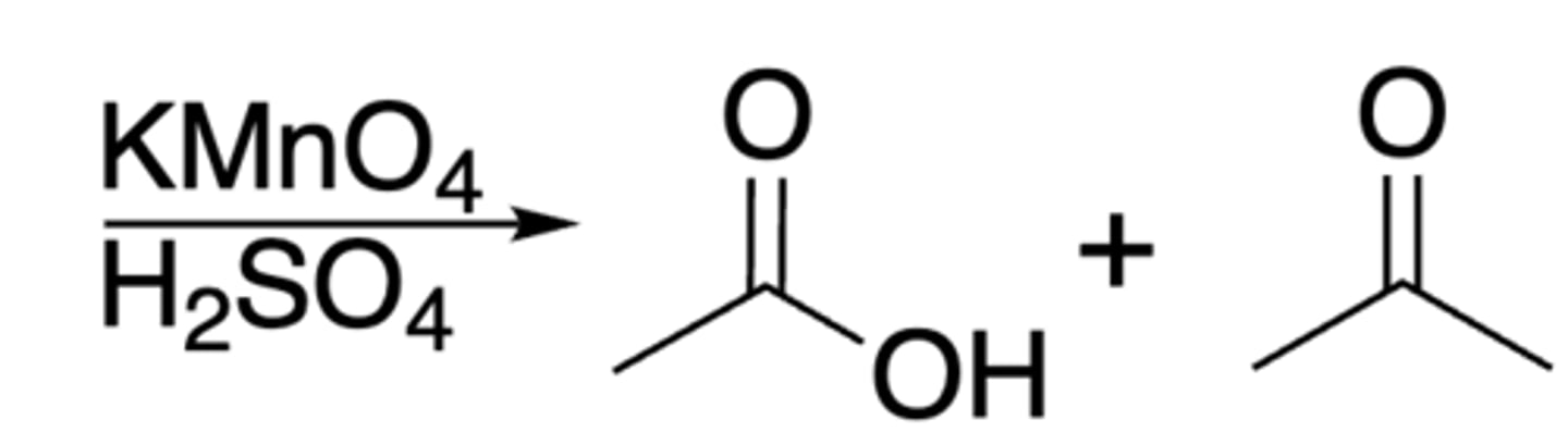 <p>Alkene + KMnO4 + OH- + heat --&gt; ketone + carboxylate</p><p>- at least one C on the alkene must have H attactched</p><p>- monosubstitued side turns into carboxylic acid</p><p>- disubstituted side turns into ketone</p>