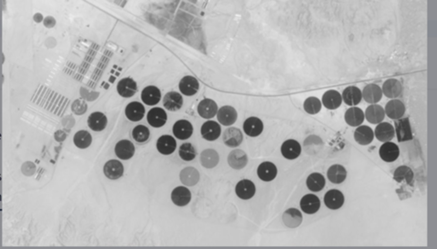 <p>irrigation increases the salt content of the soil, which disrupts the growth of crops and degrades soil fertility.</p>