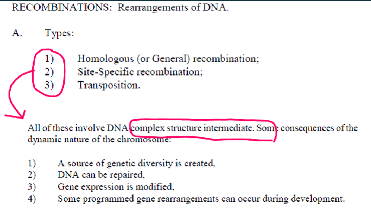 <p>1) a source of genetic diversity is created. </p><p>2) DNA can be repaired</p><p>3) gene expression is modified</p><p>4) some programmed gene arrangements can occur during development. </p>
