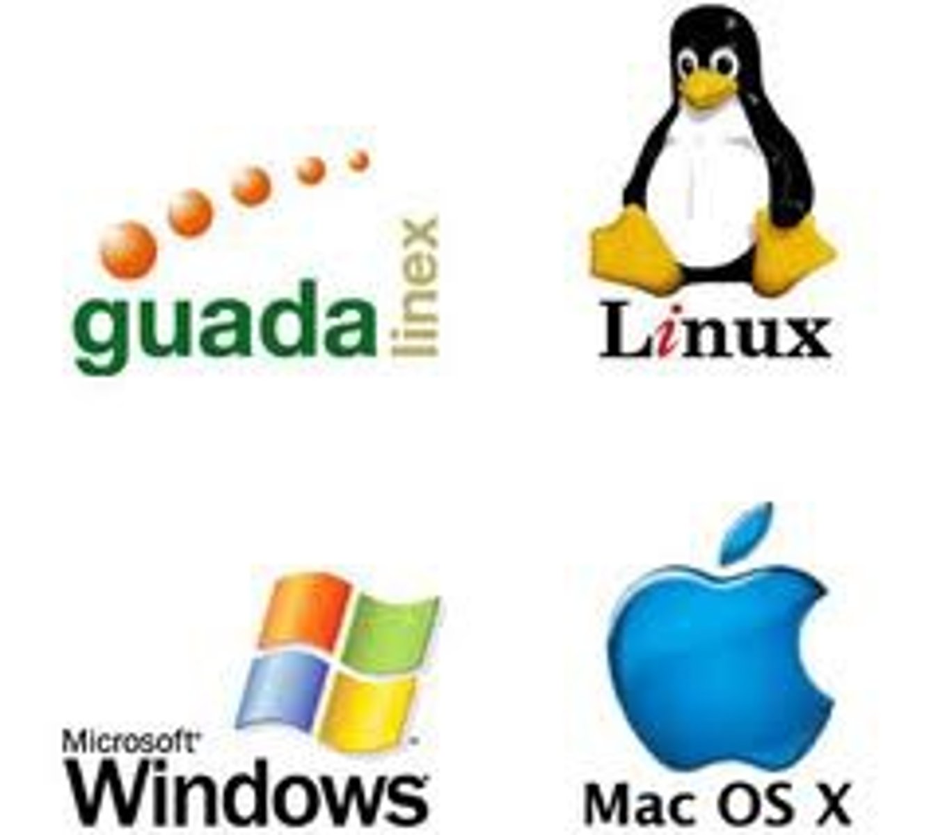 <p>el programa de computación</p>