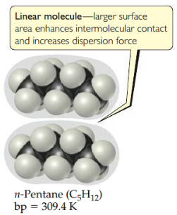 Larger surface area enhances intermolecular contact and increases dispersion force.
