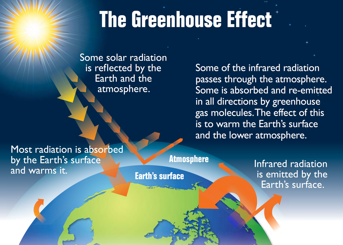 <ul><li><p>Keeps temp warm enough to support life</p></li><li><p>Without greenhouse effect, the earth would be too cold for most living organisms to survive</p></li></ul>