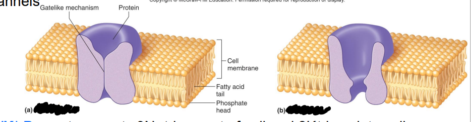 <p>Label the diagram</p>