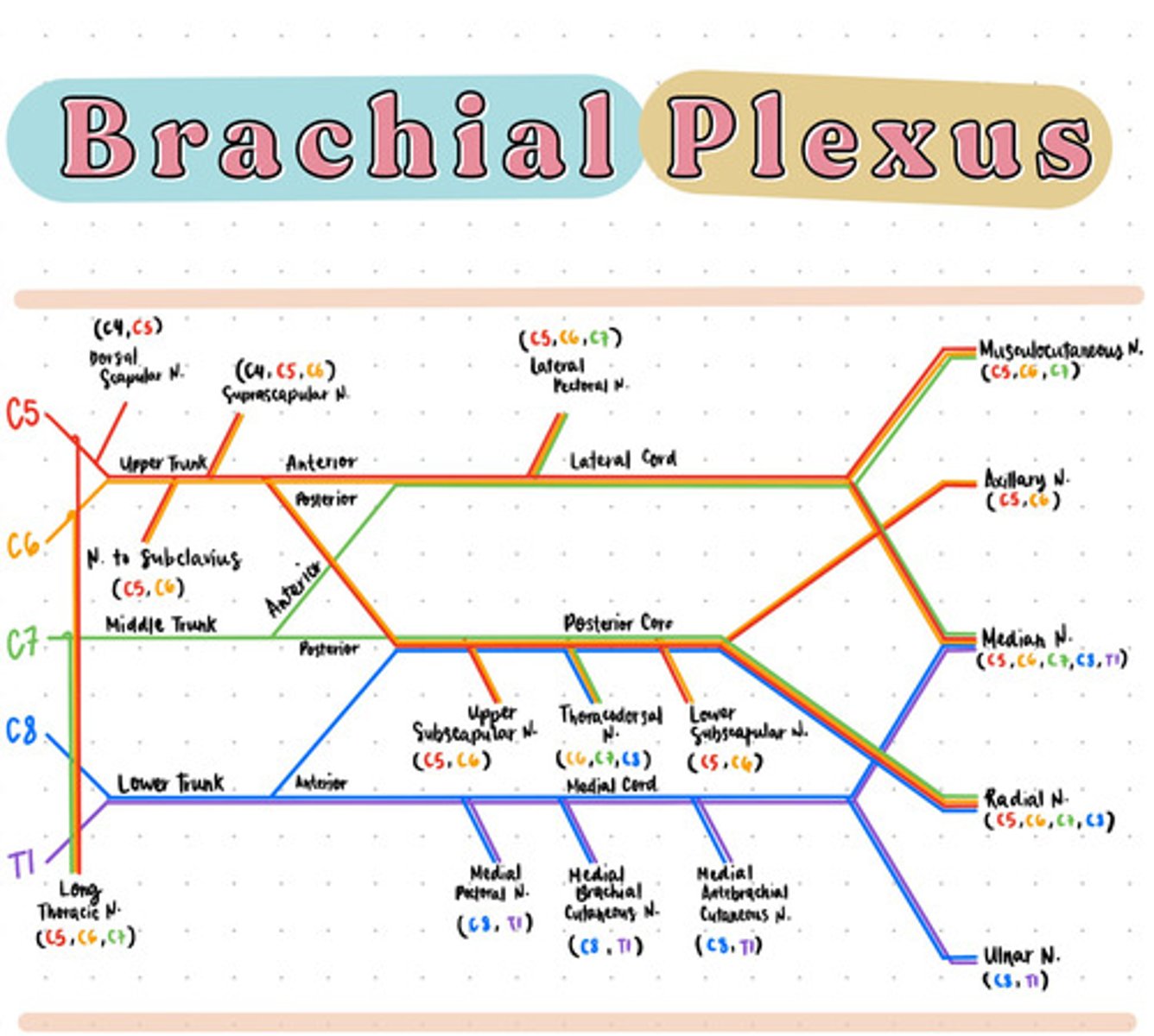knowt flashcard image