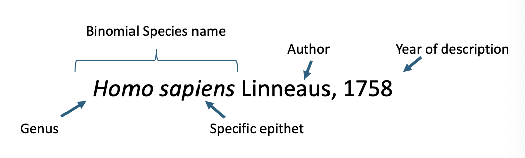 <p>Communicating species </p>