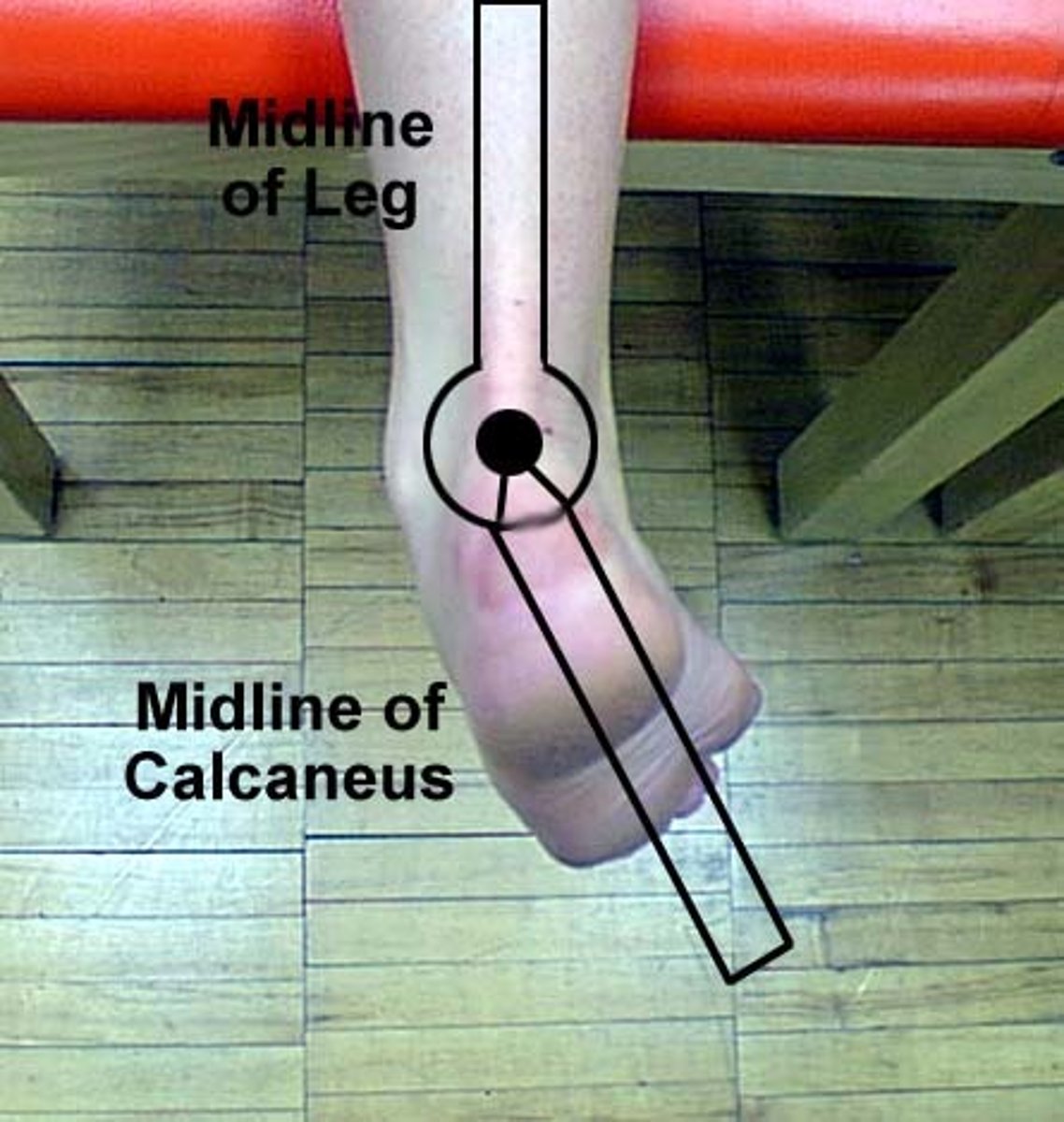 <p>prone, feet off table </p><p>stationary arm: middle of gastrocnemius/calf </p><p>fulcrum: posterior talocrural joint (between malleoli) </p><p>moving arm: middle of calcaneus </p>
