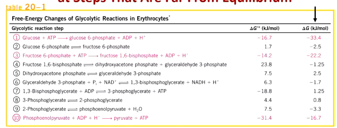 <ol><li><p>hexokinase</p></li></ol><ol start="3"><li><p>phosphofructokinase</p></li></ol><ol start="10"><li><p>pyruvate kinase</p></li></ol><p></p>