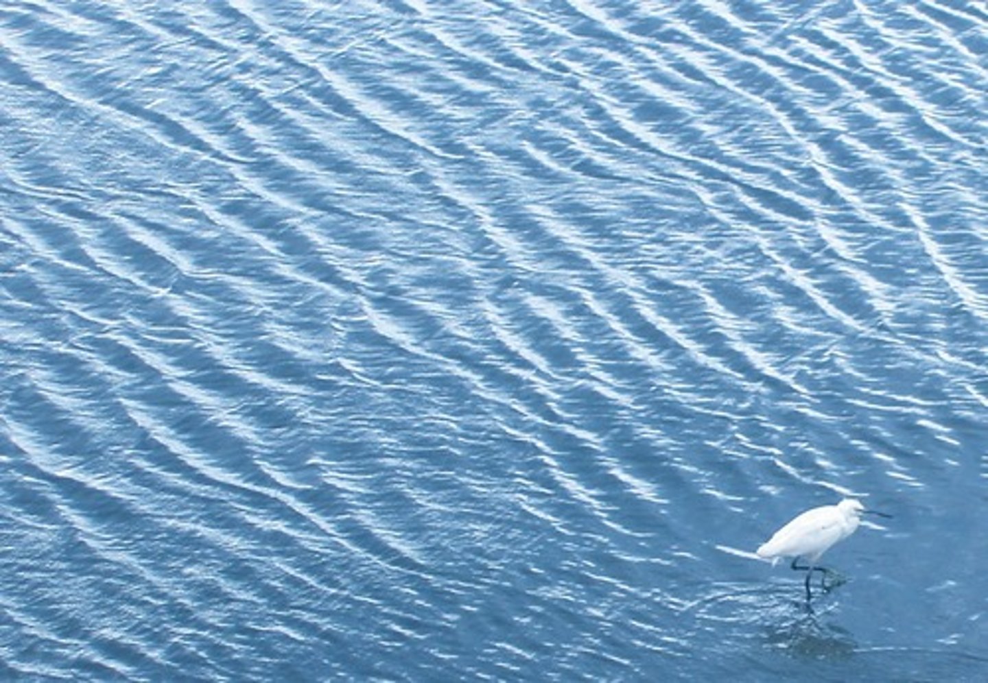 <p>Брижі / Хвильки</p><p>A small wave or series of waves on the surface of water, especially as caused by an object dropping into it or a slight breeze.</p><p>Throwing a stone into the pond created a series of widening ______.</p><p>The gentle wind created tiny ______ on the surface of the calm lake.</p><p>The news sent ______ of excitement through the entire community.</p>