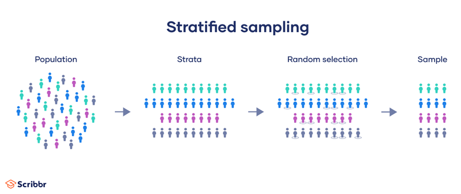 <p>members of the population are divided into 2+ groups (strata) that share a common characteristic, and then an equal number of samples is randomly selected from each group</p>