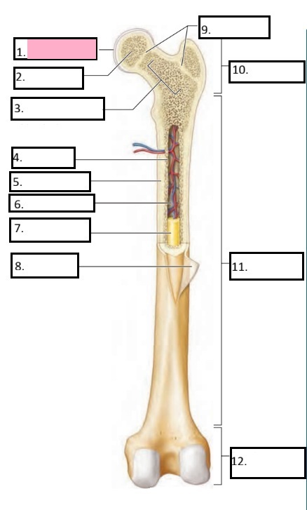 <p>1</p>