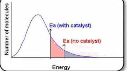Maxwell Boltzmann graph showing difference between having a catalyst and not having a catalyst.