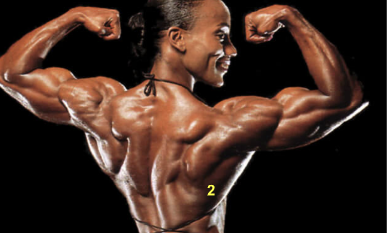 <p>It is named because it is wide (Latissimus ) and it is on the posterior surface (Dorsi).</p>