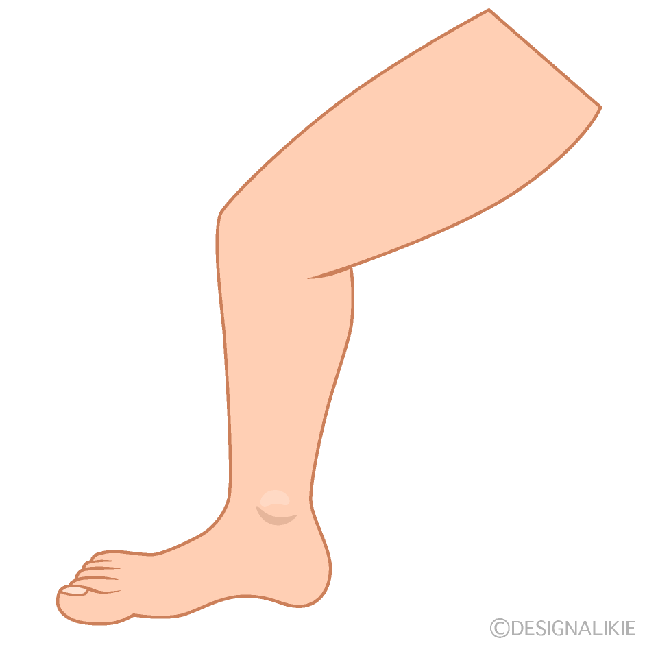 Body Parts in Korean Flashcards Knowt