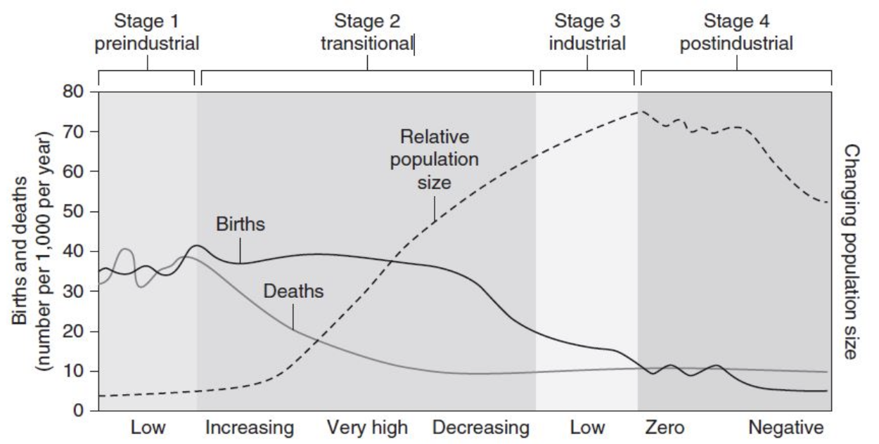 Figure 7.5 The demographic transition.
