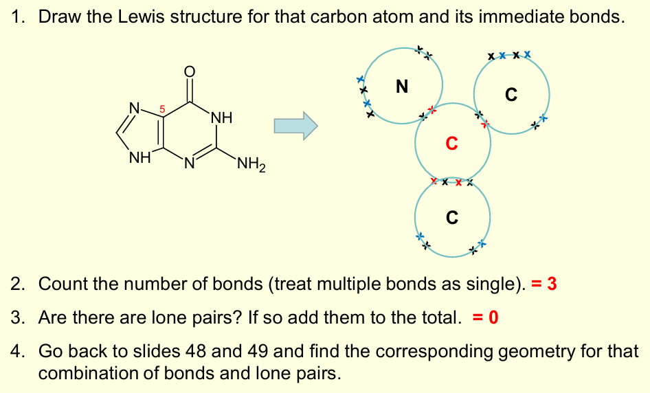 <p>Trigonal Planar<br><br>Guanine is planar –important in biological function and how nucleotides stack in DNA.</p>