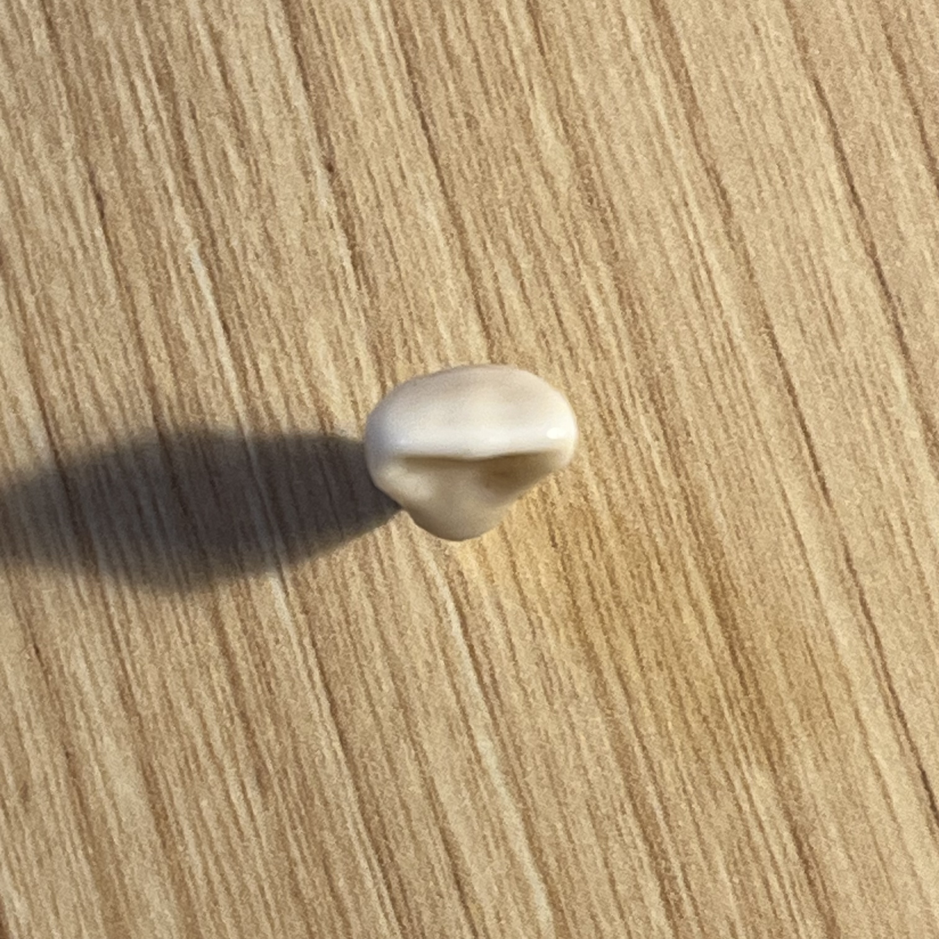 <p>What tooth is this (with view)?</p>