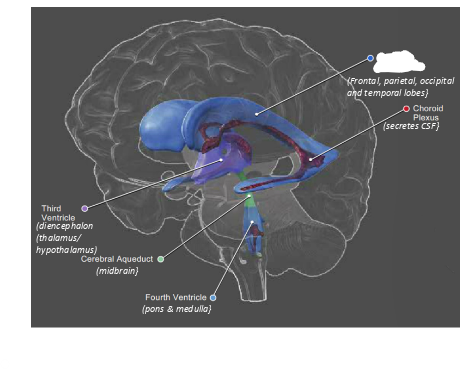 <p>what is blanked out?</p>