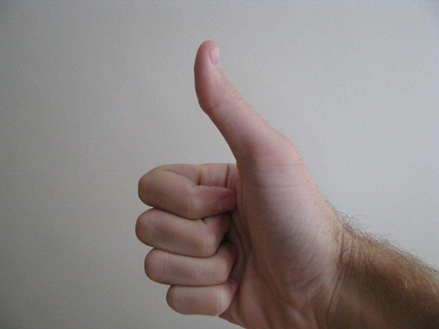 <p>1. a threatened penalty for disobeying a law or rule.</p><p>2. official permission or approval for an action.</p>