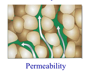 <p>Permiablility</p>