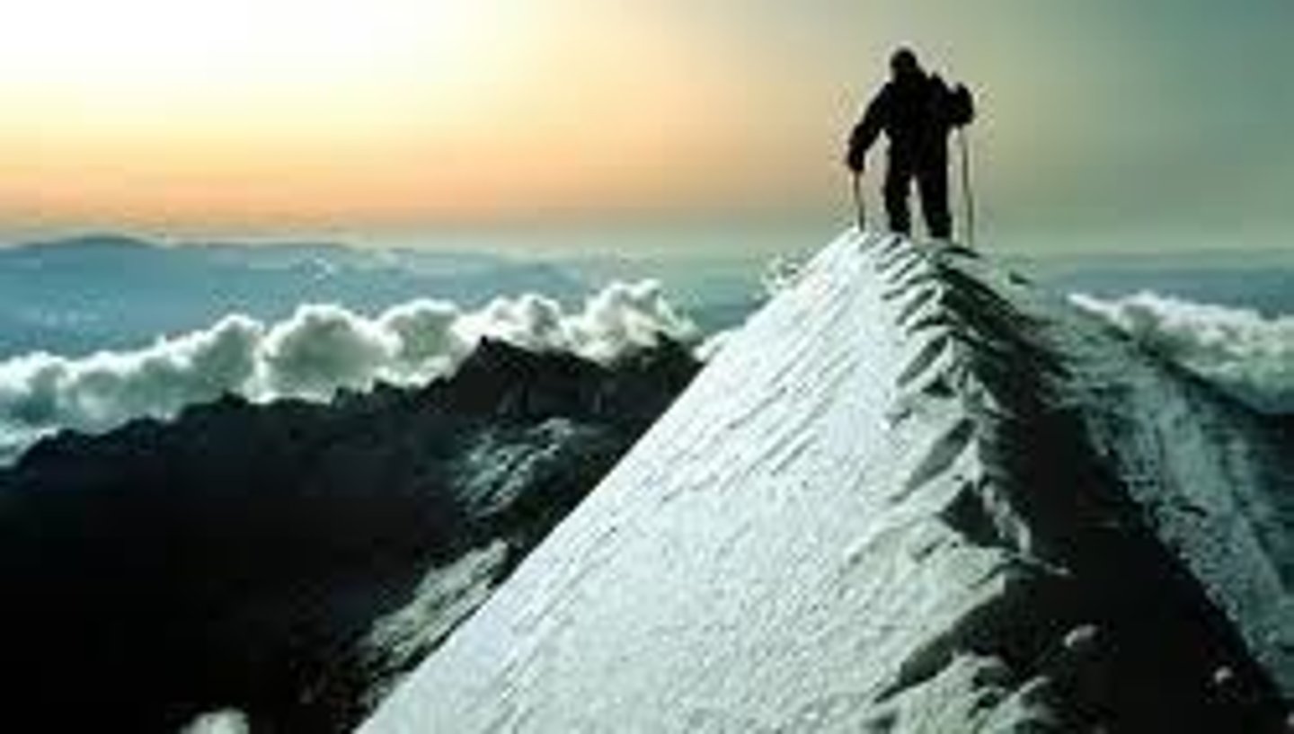 <p>a strong drive for success</p>