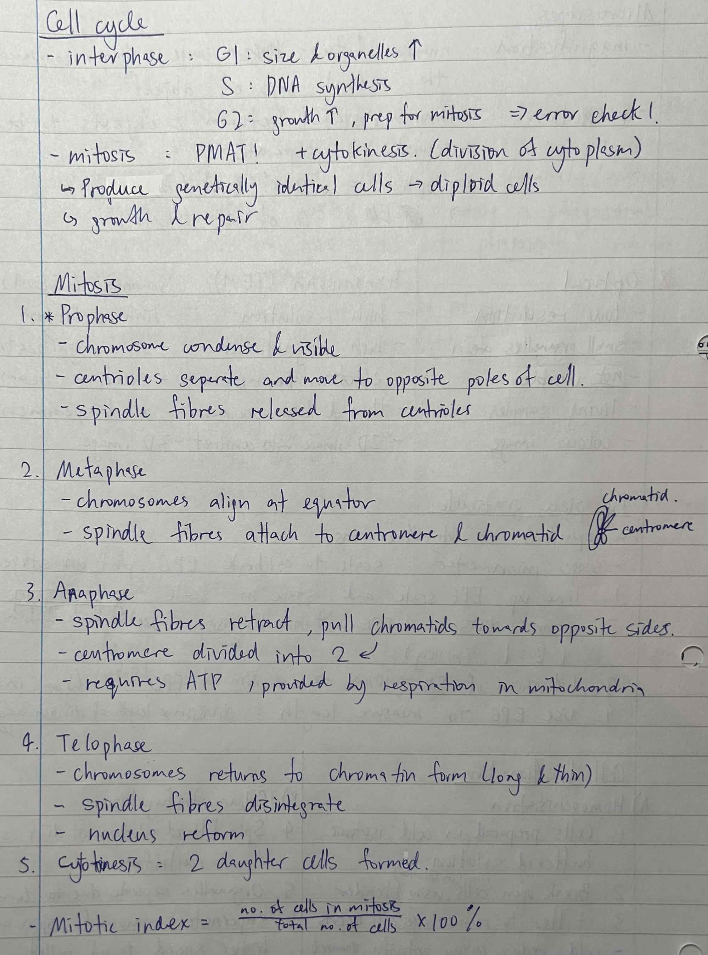 knowt flashcard image