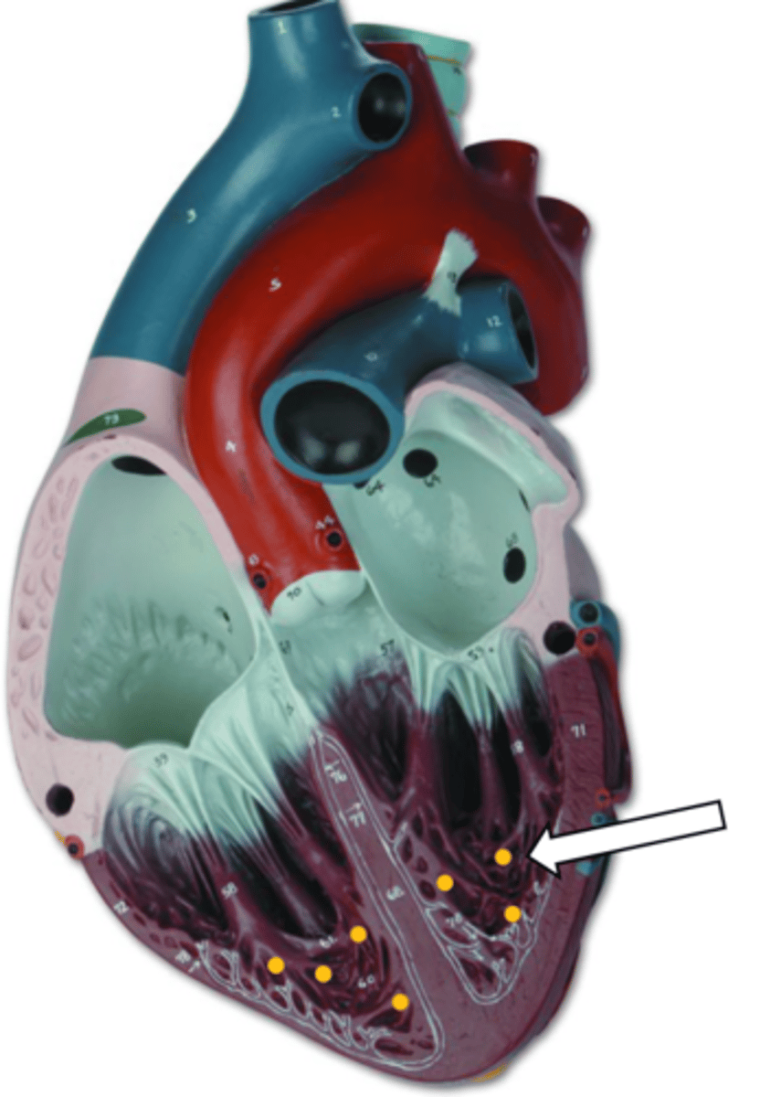 <p>name the structure</p>