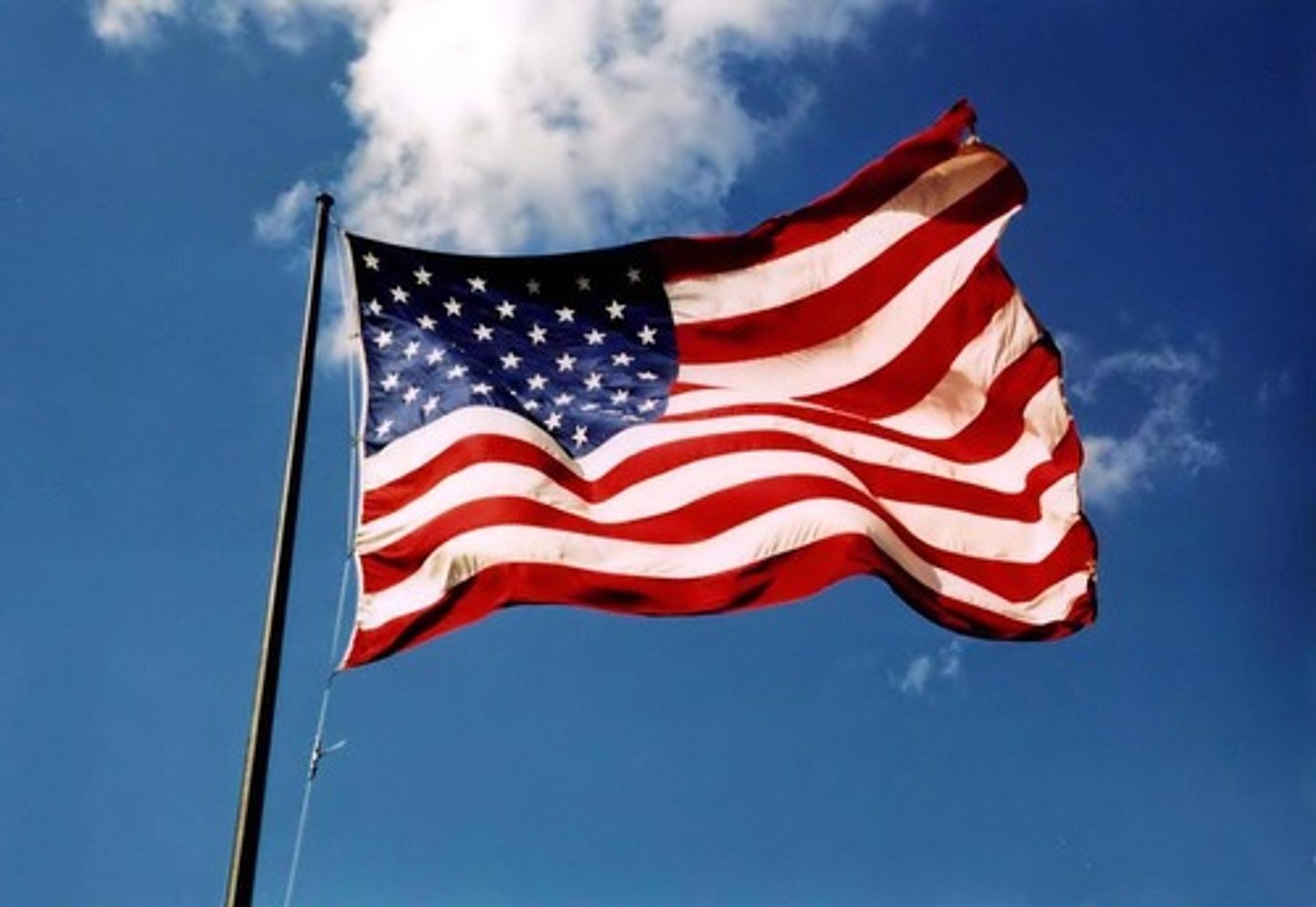 <p>Elevators, Cargo Lift, Claw Machines, Flag Pole Pulley</p>