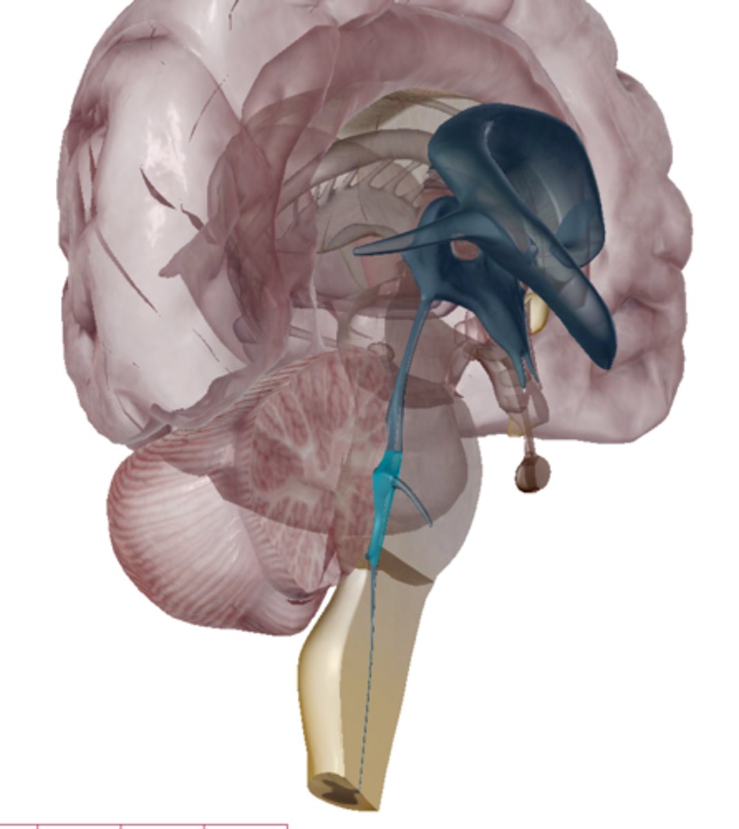 <p>Light blue highlight</p>