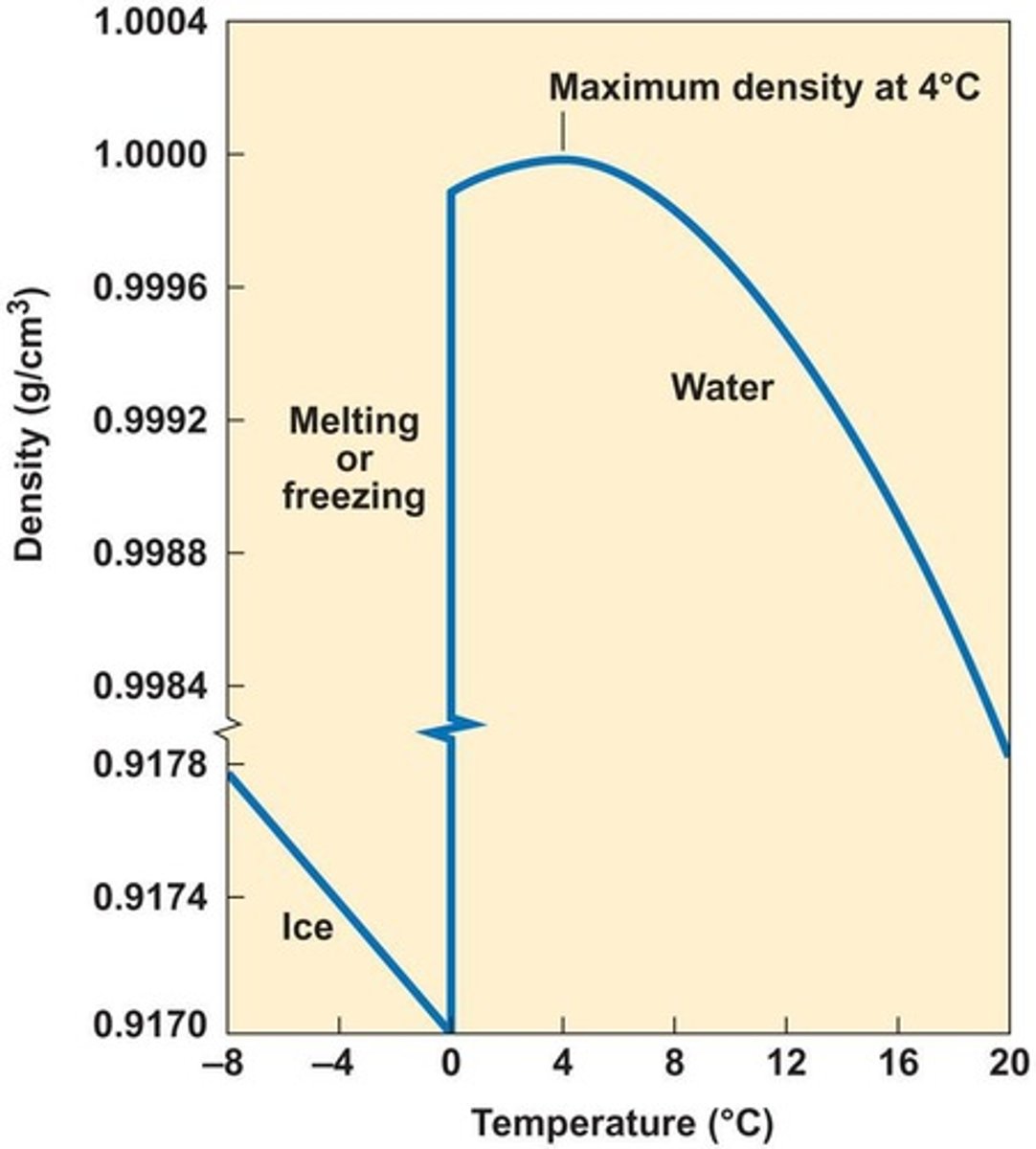 <p>Ice is less dense than liquid water.</p>