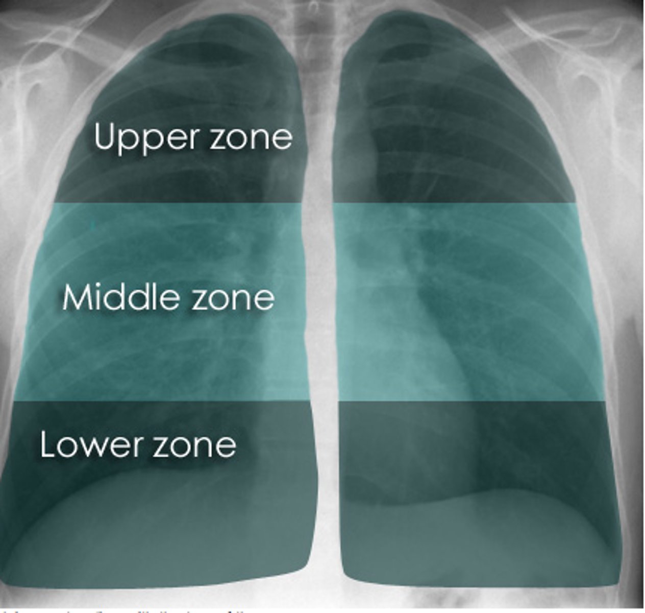 <p>/ɪˈkweɪt tu/ (v): Tương đương với, đánh đồng với. [Syn: Amount to, equal] [Collo: Equate wealth to happiness] [Ex: High salary does not equate to job satisfaction.]</p>