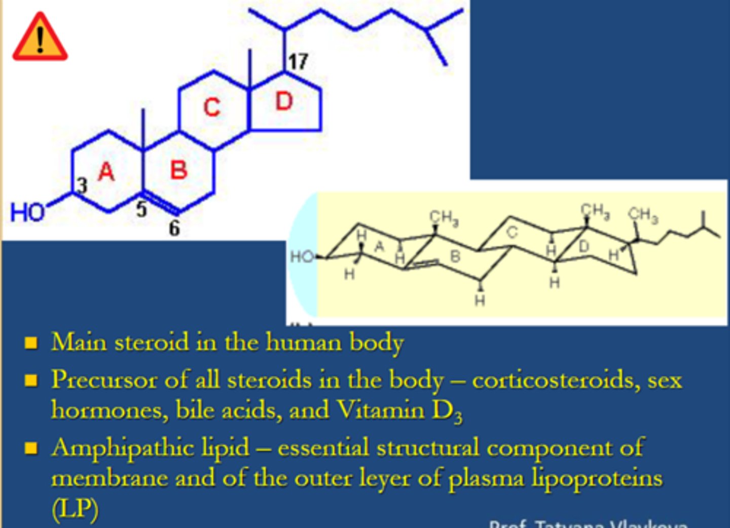 <p>-cholesterol is <span class="bgY">main steroid in the human body.</span></p><p>-cholesterol is the <span class="bgY">precursor of all steroids in the body- corticosteroids, sex hormones, bile acids and vitamin D3.</span></p><p>- cholesterol is an <span class="bgY">amphipathic lipid</span>, which is an <span class="bgY">essential component</span> of membrane and of the <span class="bgY">outer layer of plasma lipoproteins (LP).</span></p>