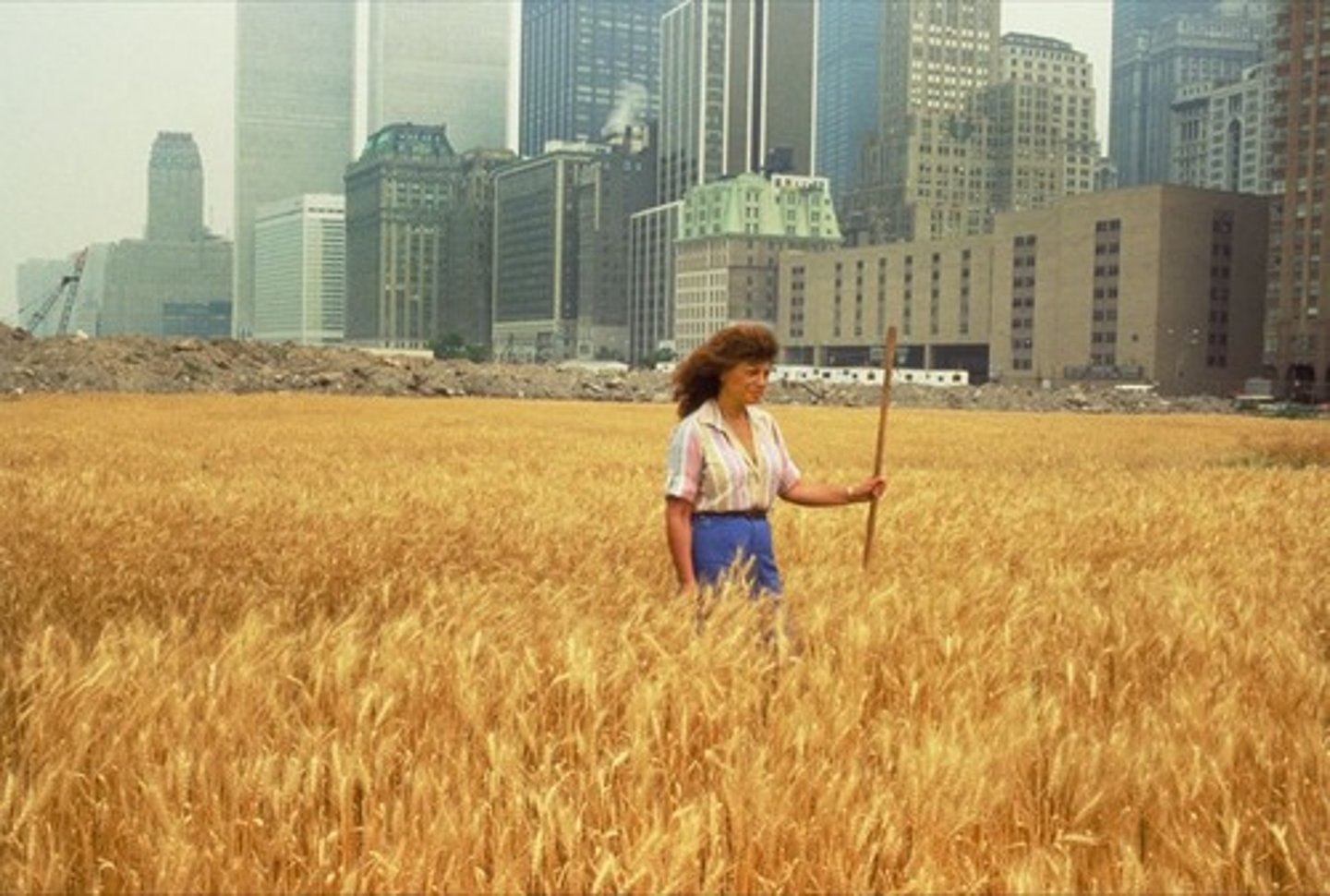<p>Title: Wheatfield - A Confrontation</p><p>Time: 1980s.</p><p>Known for:</p><ul><li><p>Wheat field in Manhattan</p></li><li><p>The work symbolizes the <strong>relationship between nature, urbanization</strong>, and <strong>human intervention</strong>, drawing attention to the <strong>fragility of the environment</strong> in the face of modern industrial and technological development.</p></li><li><p class=""><em>S</em>erves as a <strong>critique of consumerism, industrialization</strong>, and the disconnect between <strong>natural resources</strong> and <strong>urban society</strong>.</p></li></ul><p></p>
