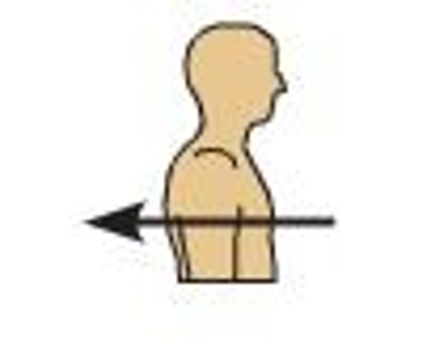 <p>describes the back or direction toward the back of the body</p>