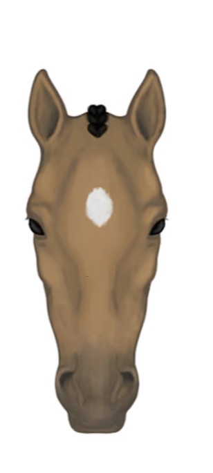 <p><span style="background-color: transparent;">A white diamond or splotch between the eyes</span></p><p></p>